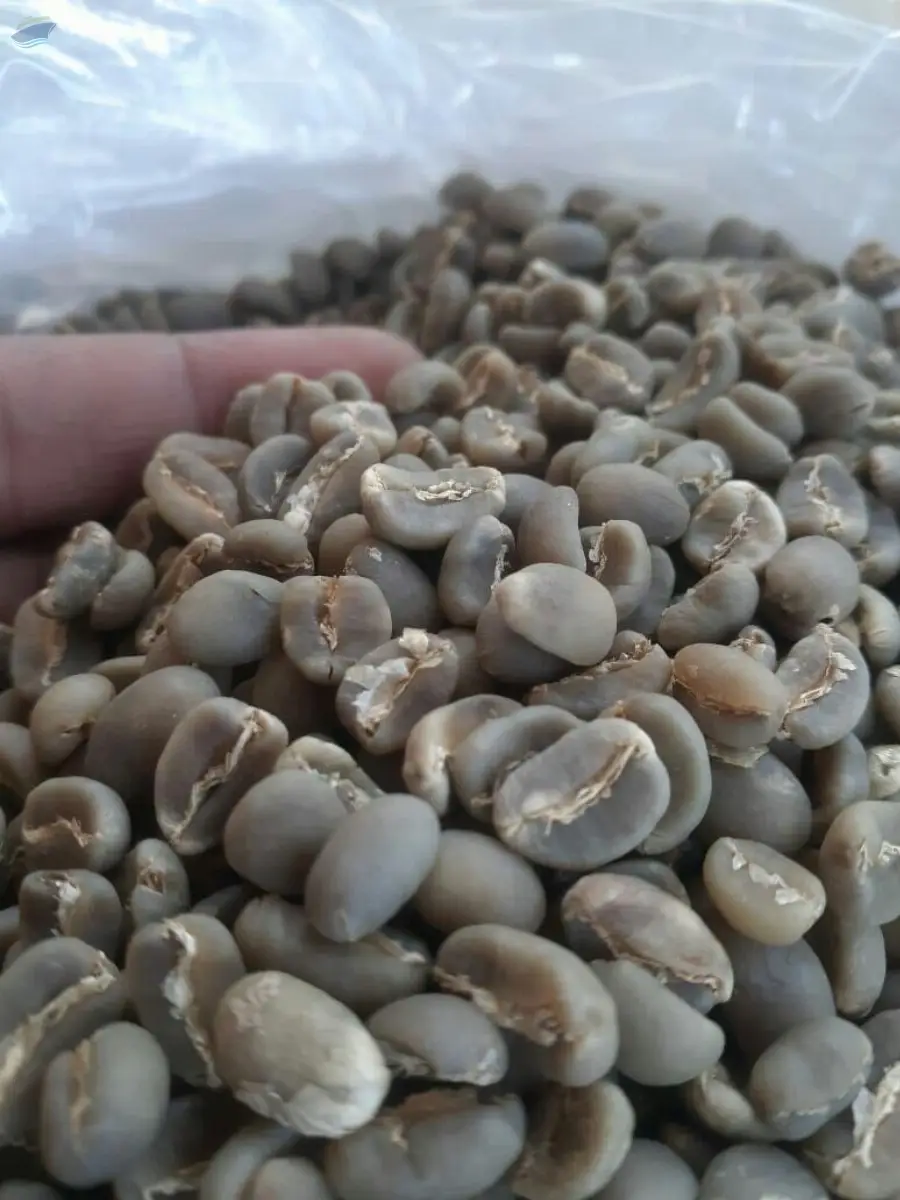 Coffee Beans