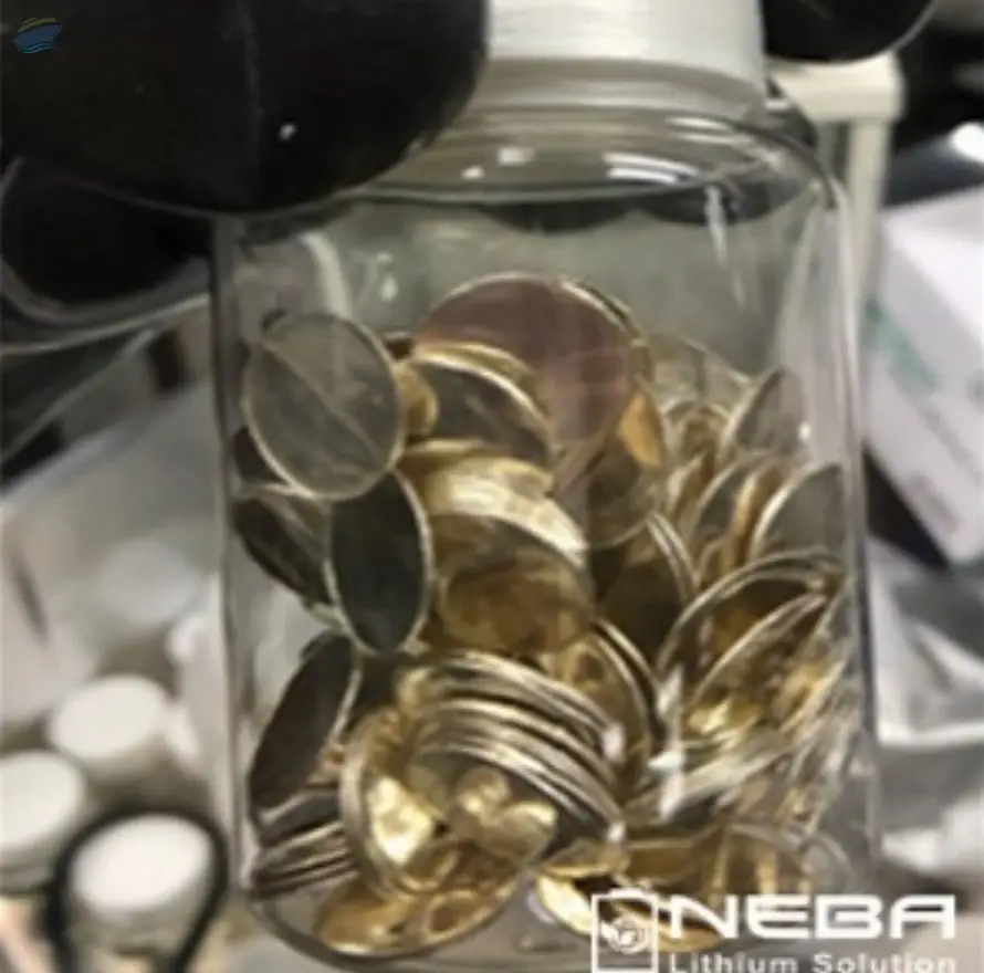 Korean Li Batteries Coin Type Shape Lithium Chip