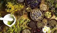 Herbal Extracts