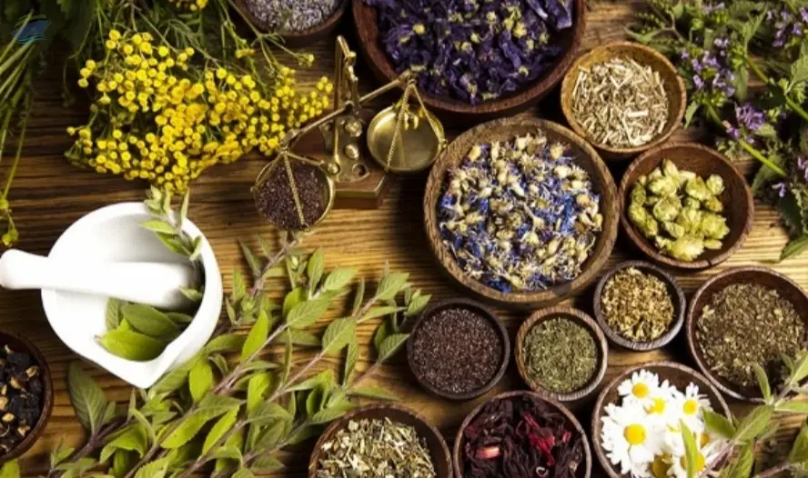 Herbal Extracts
