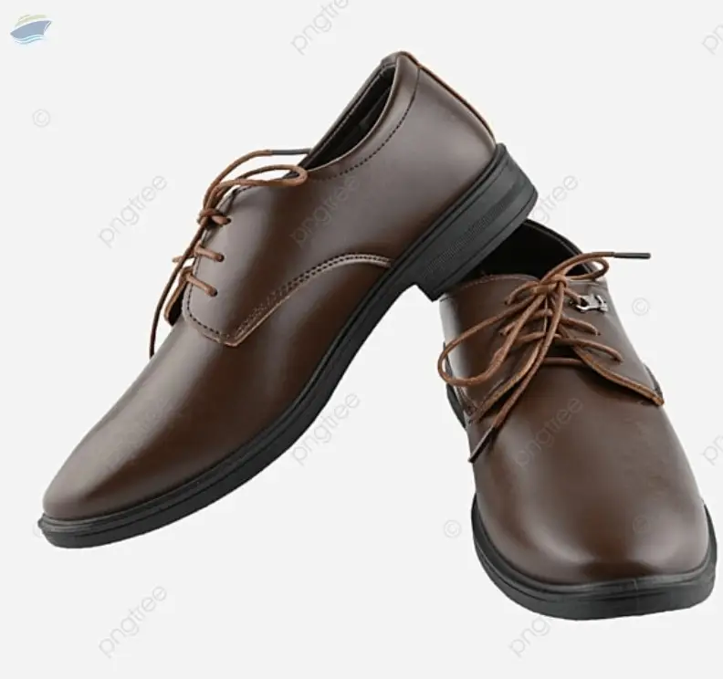 Light Brown Leather Shoes