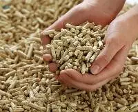 Wood Pellets