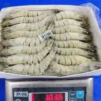 Shrimp  Black Tiger