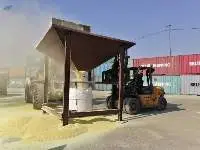 Sulfur/Sulphur