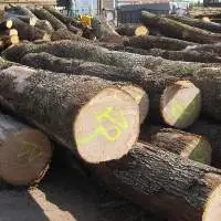 Oak Logs