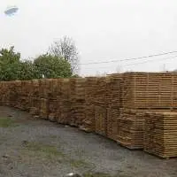 Oak Boards