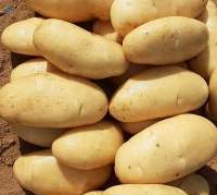 Potatoes
