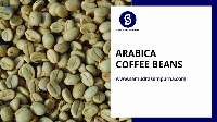 Gayo Highland Coffee Beans