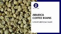 Gayo Highland Coffee Beans