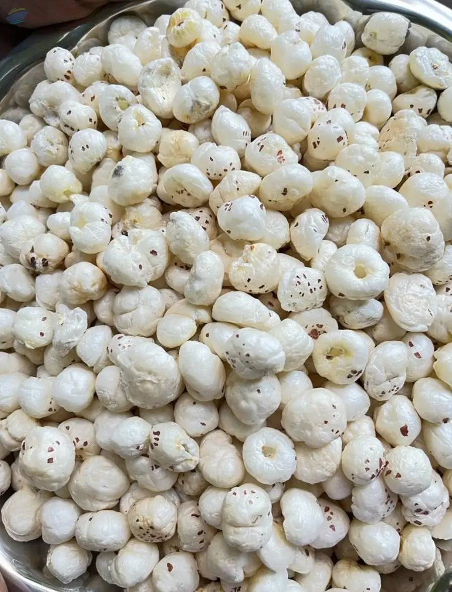 Foxnut/ Makhana
