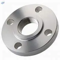 A105 Flanges