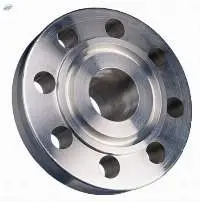 Ring Joint Flanges