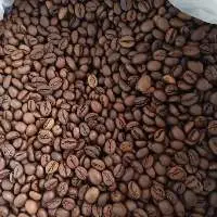 Robusta Bean Grade A