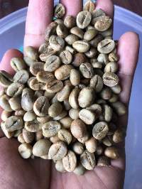 Robusta Coffee Beans