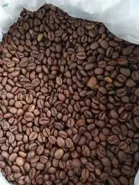 Roasted Robusta Grade A