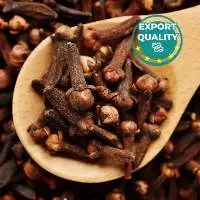 Clove AB6