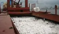 12 Month IC-45 Brazilian Sugar  