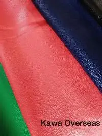Finished Leather