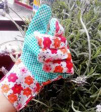 Garden Gloves