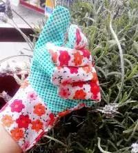 Garden Gloves