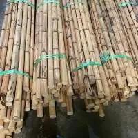 Rattan Cane