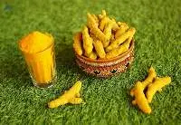 Handpicked Turmeric Finger