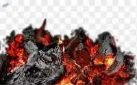 Hard Wood Charcoal