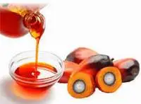 Red Palm Oil