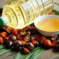 Palm Red Oil