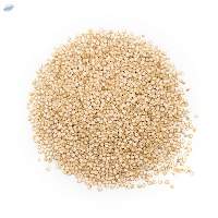 Premium Regular Quinoa Seeds for Bulk Export