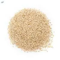 Premium Regular Quinoa Seeds for Bulk Export