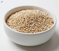 Premium Bold Quinoa Seeds for Bulk Export