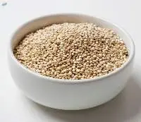 Premium Bold Quinoa Seeds for Bulk Export