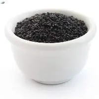 Premium Natural Basil Seeds for Bulk Export