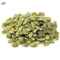 Premium Natural Pumpkin Seeds for Bulk Export