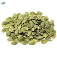 Premium Natural Pumpkin Seeds for Bulk Export