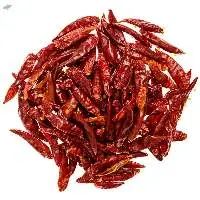 Premium Dried Red Chilli for Bulk Export Supply