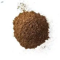 Premium Garam Masala Powder for Bulk Export