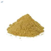 Premium Natural Amla Powder for Bulk Export