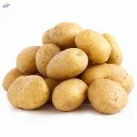 Fresh Indian Potatoes for Bulk Export Supply