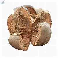Coconut Husks