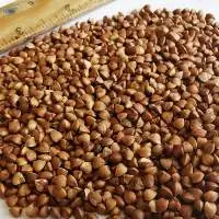 Buckwheat