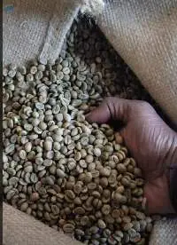 Green Coffee