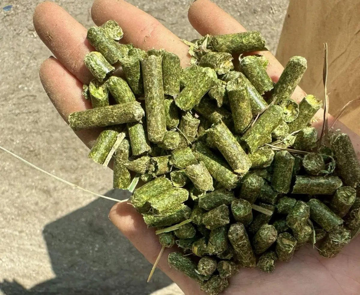 Alfalfa Pellets