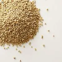 Sorghum