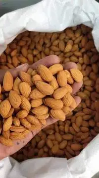 Almond Nuts
