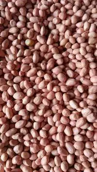 Raw Peanuts