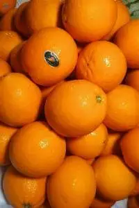 Fresh Oranges