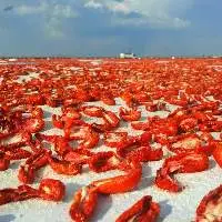 Dried Tomatoes