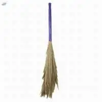Phool Broom